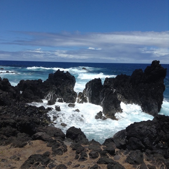 Meet your Posher, Iz🌸 - Picture 1 of 1